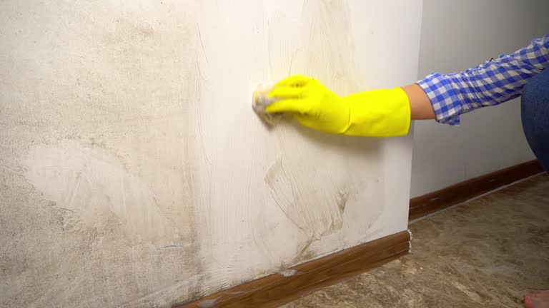 Best Air Quality Testing for Mold Spores  in Cynthiana, KY